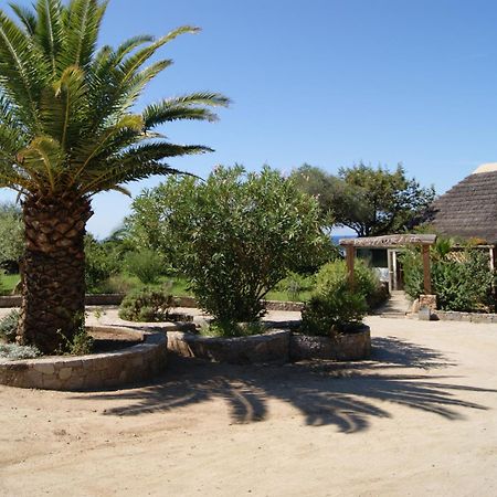 Hotel Le Ruesco Olmeto (Corsica) Exterior foto